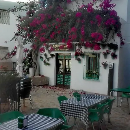 Playa Miramar Apartamento *